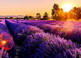 Southern France Retreats & Trips