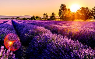 Southern France Retreats & Trips