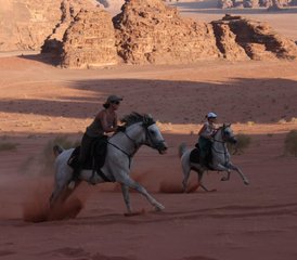 9 Day Luxury Petra and Wadi Rum Horse Riding Tour in Jordan - Photo 3