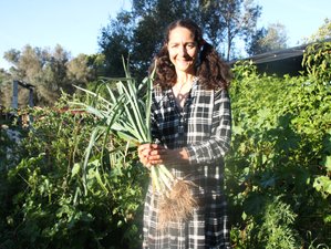 3 Day Yoga and Permaculture Retreat in Sunny Algarve, Portugal