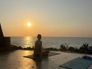 7 Day Semi-Private Body Movement, Healing, and Wellness Retreat in Compostela, Nayarit, Mexico