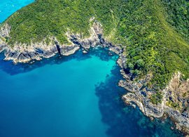 Paihia Retreats & Trips
