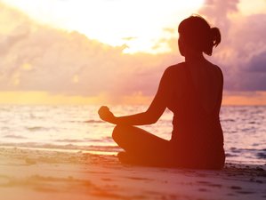 8 Day Transform Yourself: Women's Holistic Personal Development Retreat in Zanzibar, Tanzania