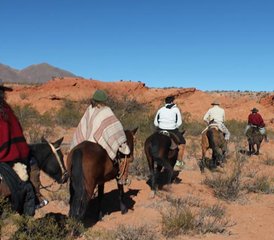5-Daagse Cultureel Avontuur en Paardrijtocht in de regio Salta, Argentinië - Photo 5
