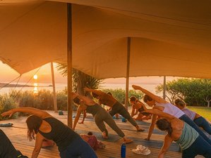 8 Day Systemic Healing Dynamic Yoga Retreat in Ibiza, Spain