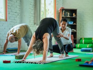 25 Tage 200-Stunden Hatha, Ashtanga, Yin Yoga TTC in Rishikesh