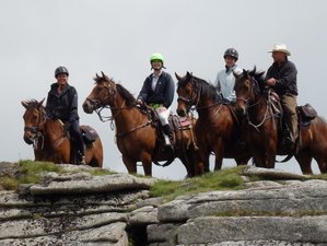 8 Day Dartmoor Crossing Horse Riding Holiday in Devon, England