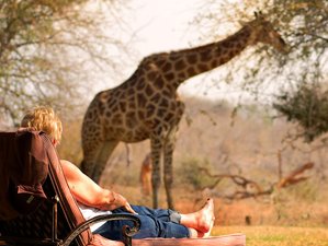 4 Day Kruger Park & Private Lodge Safari in South Africa