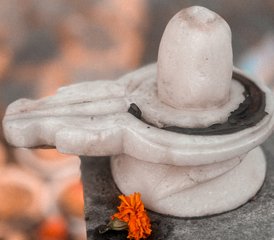 12 Day 100-Hour Yin Yoga Teacher Training in Dharamshala, India - Photo 2