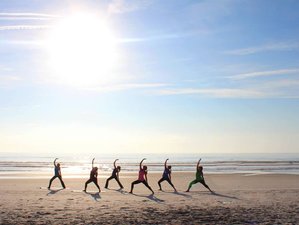 15 Day Yoga Retreat in Mirissa, Sri Lanka with Surf Sessions