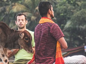 12 Tage 100-Stunden Meditation und Bhagavad-Gita Yogalehrer Ausbildung in Dharamshala