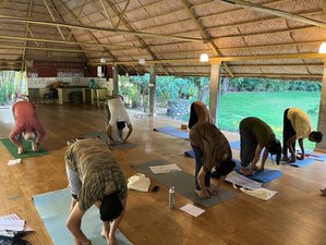 14 jours en stage de yoga authentique à Mysore, Inde