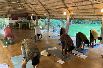 14 jours en stage de yoga authentique à Mysore, Inde