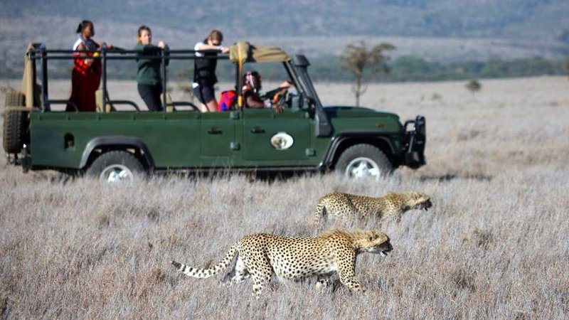 7 Days Wonderful Safari in Lake Turkana and Sibiloi National Park, Kenya - BookAllSafaris.com