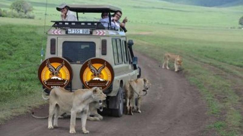 8 Days Highlights of the Northern Circuit Lodge Safari in Tanzania