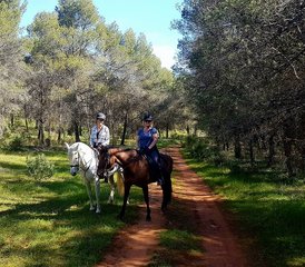 4 Day Extraordinary Horse Riding Holiday in Mollina, Malaga - Photo 2