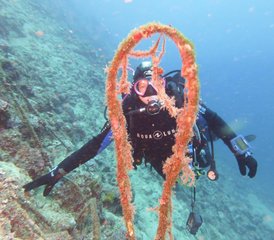 5 Tage Anfängerfreundlicher Open Water Tauchkurs nach PSS Standards in Beli, Kroatien - Photo 2