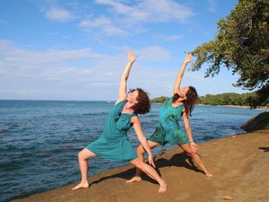 9 Tage Ayahuasca Yoga Retreat in the jungle, Costa Rica