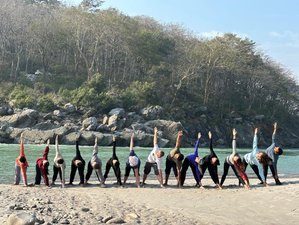 12 Day 100-Hour Yoga Teacher Training Course including Ayurveda in Rishikesh, India