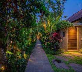 3 días de retiro de yoga con visita a un sanador en Ubud, Bali, Indonesia - Photo 4