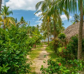 6-Daagse Wellness Retreat: Een Week Met Yoga, Training En Ontspannen In Palomino, Colombia - Photo 5
