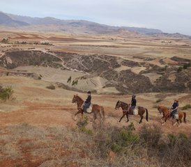 5 Tage Reittour in Peru - Photo 5
