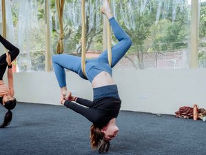 7 Day 50-Hour Aerial Yoga Teacher Training in Rishikesh, Dehradun, India