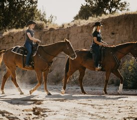 7 Day Rescue Horse Ranch Vacation in New Mexico, USA: Ride with Purpose - Photo 4