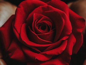 5 Day Moonlodge Retreat in Castéra-Verduzan, Southwest France