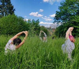 3-Daagse Vision Walk Wandel Retraite met Meditatie en Yoga in de Ardennen - Photo 3