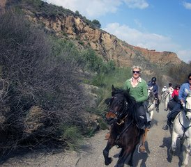 8-Daagse Paardrijvakantie in La Contraviesa, Andalusië, Spanje - Photo 2