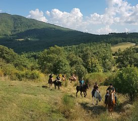 8-Daagse Spannende Paardrijvakantie in Toscane, Grosseto, Italië - Photo 2