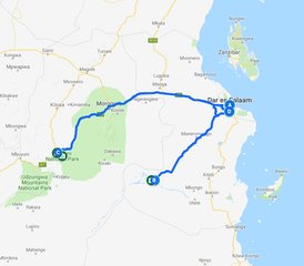 5 jours safari à Selous, parc national de Nyerere et Mikumi, Tanzanie - Photo 3