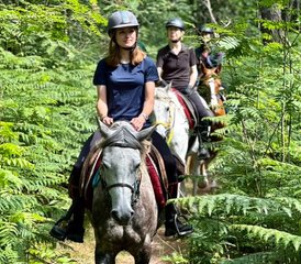 4 Day Horse Riding Holiday in the Heart of the Chantilly Region, France - Photo 3