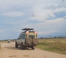 54 Day All-Inclusive Lake Nakuru and Masai Mara Private Safari in Kenya - Photo 1