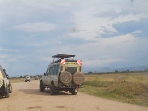 4 Day All-Inclusive Lake Nakuru and Masai Mara Private Safari in Kenya