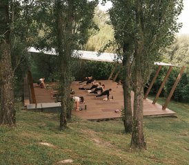 7 Day Yoga and Wellness Retreat in the Stunning Italian Countryside, Torri in Sabina - Photo 2