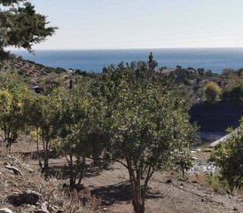 8 Tage Sommer Yoga-Urlaub in Andalusien, Spanien: Sonne, Meer & Tiefenentspannung - Photo 4