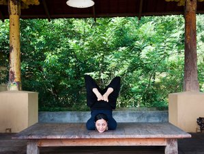8 Day Panchakarma Detox, Meditation, and Yoga Retreat in Kandy, Central Province, Sri Lanka