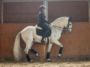 5 Day Lusitano Dressage Riding Holiday in Freiria, Portugal