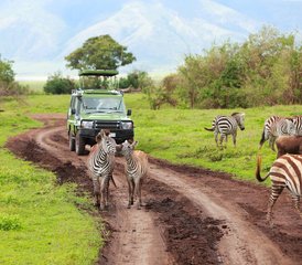 108 jours en safari camping économique au Kenya et en Tanzanie - Photo 1