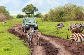 8-Daagse Budget Kampeersafari in Kenya en Tanzania