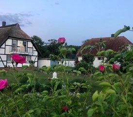 6 Tage Wellness und Yoga Retreat an der Ostsee auf Rügen - Photo 4