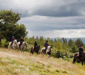 3 Tage Reiturlaub auf dem Valley Trail in England, Großbritannien - Photo 5