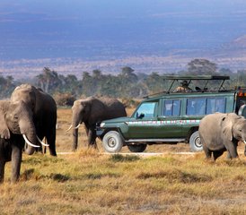 5 jours en stage de safari animalier au Masai Mara, au lac Nakuru, à Hell's Gate et au lac Naivasha, au Kenya - Photo 3
