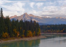 Golden Retreats & Trips
