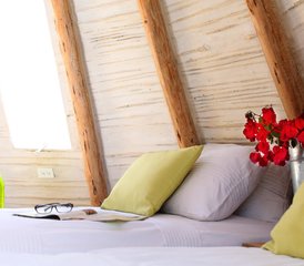 5-Daagse Baja Flow: Luxe Yoga- en Human Design Retreat in Todos Santos, Mexico - Photo 4
