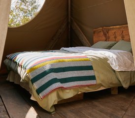 4 Day Silence as Yoga Weekend Retreat at Cara Creek Eco Lodge, Coimbra, Portugal - Photo 5