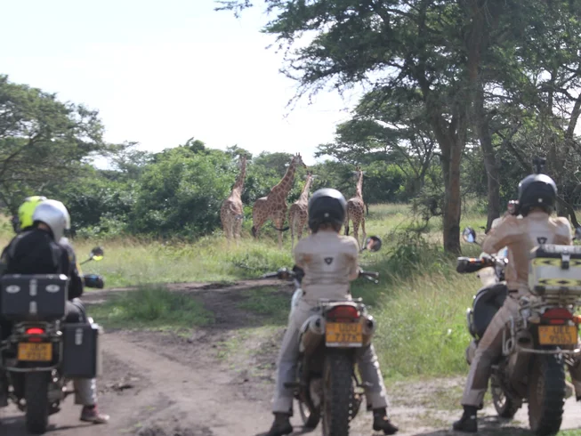 10 Days Kampala Loop Guided Motorcycle Tour and African Safari Experience in Uganda photo 8