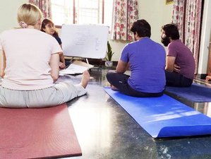 10 Day 50-Hour Online Yoga Mantra Chanting + Gentle Yoga + Meditation + Yoga Nidra TTC  Course